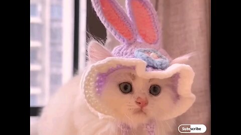 So bbeautiful little kitten 😂🤣 trending video
