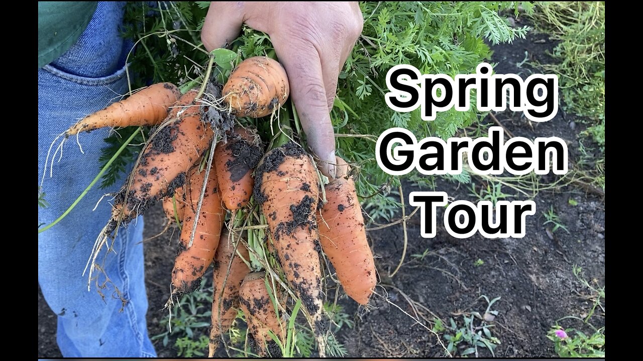 Spring Garden Tour