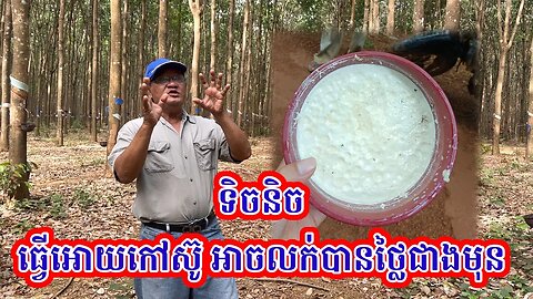 ដាក់ជីដូចម្តេចទើប ទទួលបានកំហាប់ទឹកជ័ខ្ពស់ លក់ថ្លៃជាងមុន