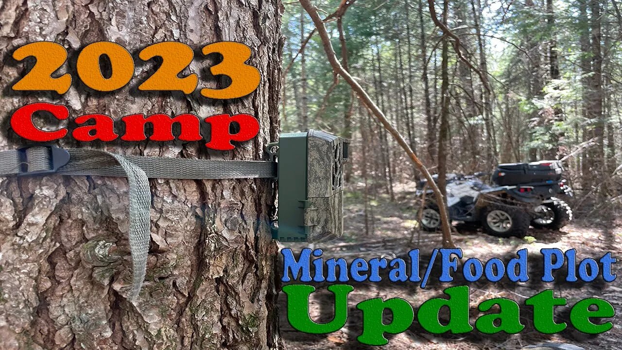 2023 Camp Mineral/Food Plot Update