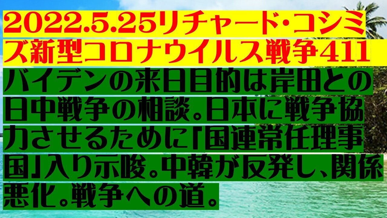 2022.05.25 リチャード・コシミズ新型コロナウイルス戦争411