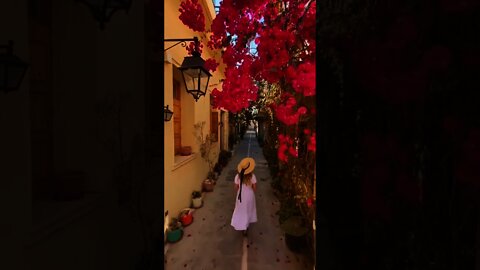 Flower Transition 📸 | Photography | Videography | Tips and Tricks #shorts