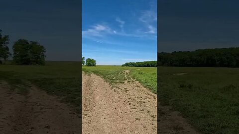 Calugareni Forest | Calugareni, Giurgiu | Ambiental music | 4k Virtual Tour | 🇷🇴