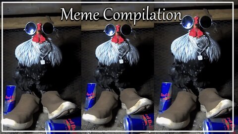 Meme Compilation feat. Chicken