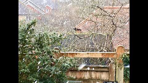 Snow Dumps in the UK