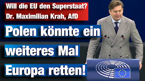 Will die EU den Superstaat? Dr. Maximilian Krah, AfD
