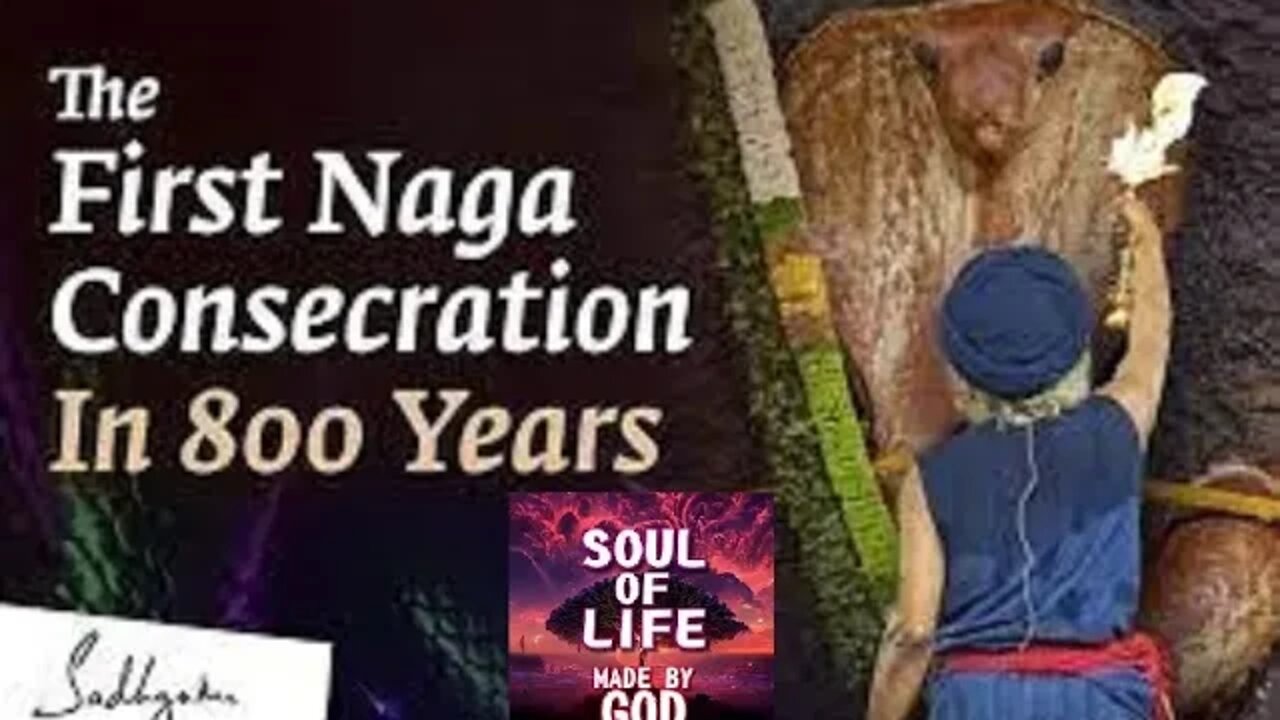 Glimpses of a Rare Mystical Event Naga Consecration Isha Yoga Center Soul Of Life - Made By God