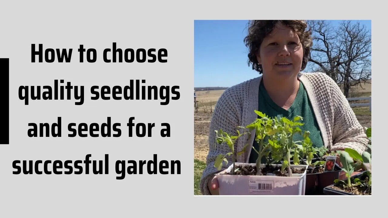 Choosing quality seeds and seedlings for a success garden.