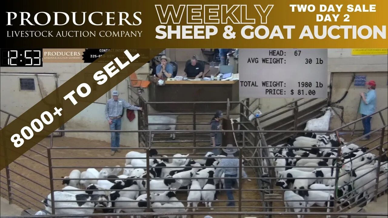 3/29/2023 - Producers Livestock Auction Company Sheep & Goat Auction