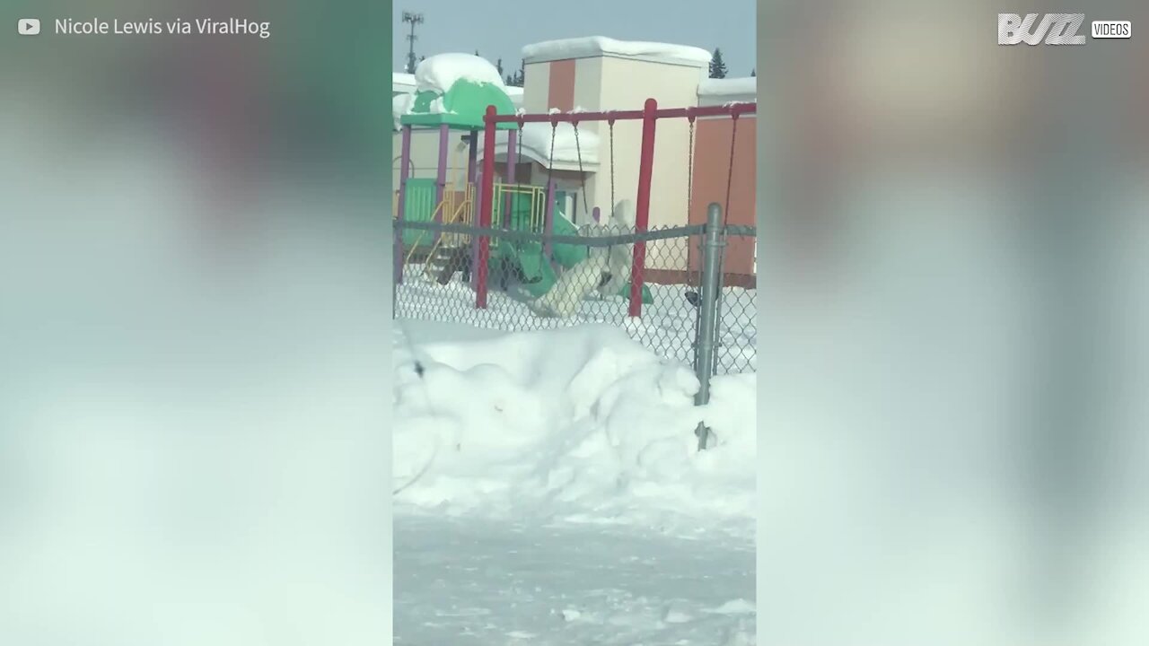 L'abominable bonhomme de neige, observé sur une balançoire