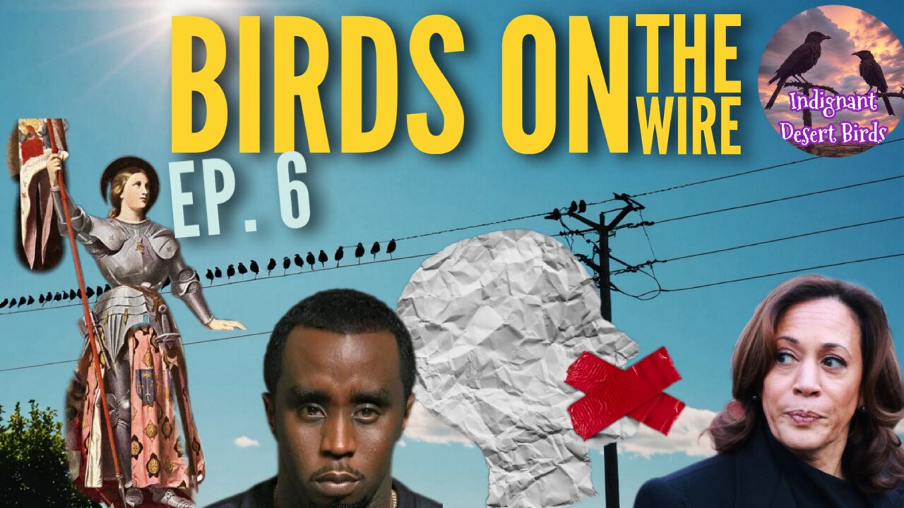 Birds On the Wire Ep. 6 Puff Daddy Arrest, Joan of Arc movie, More Crackdowns on Freedoms & More ⁉️