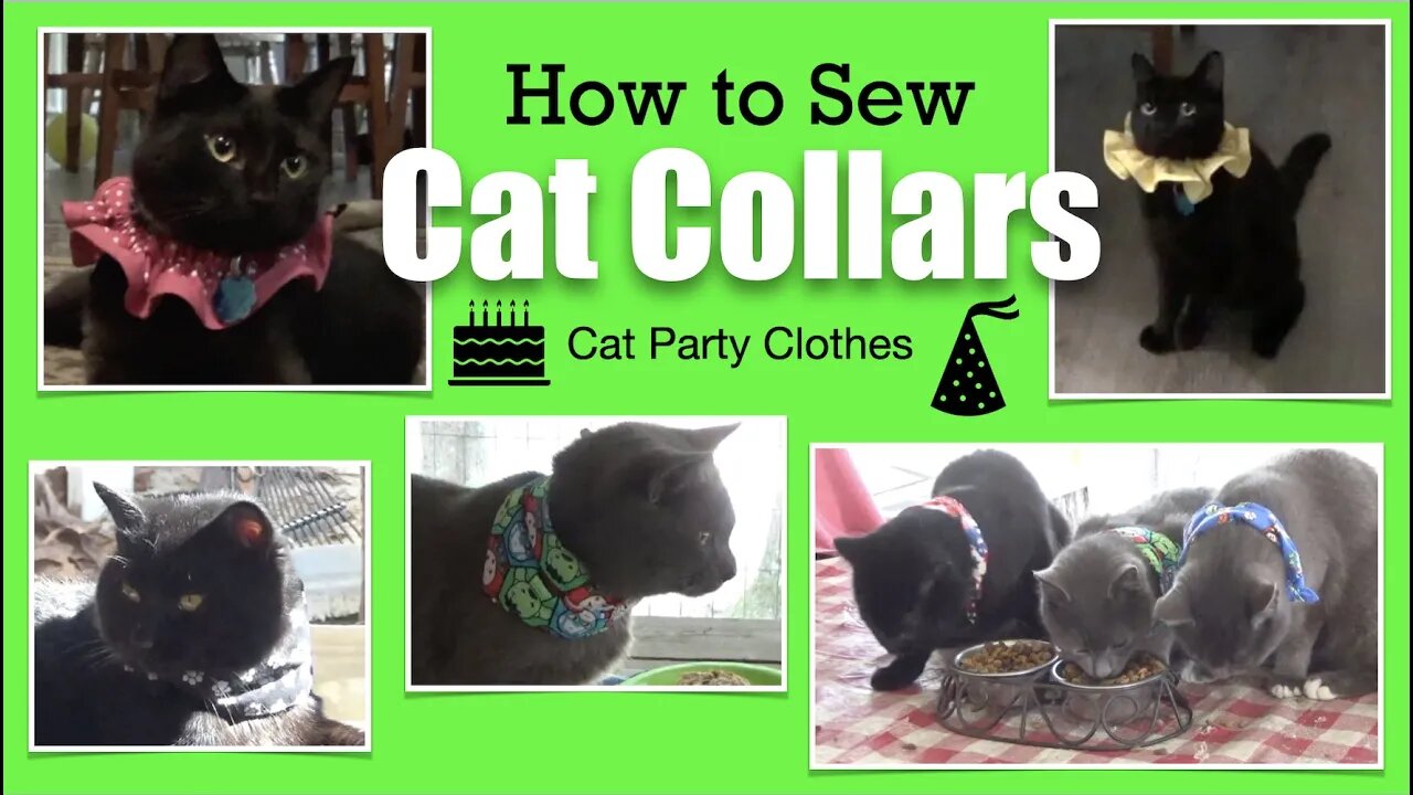 Sewing Cat Collars HD 720p