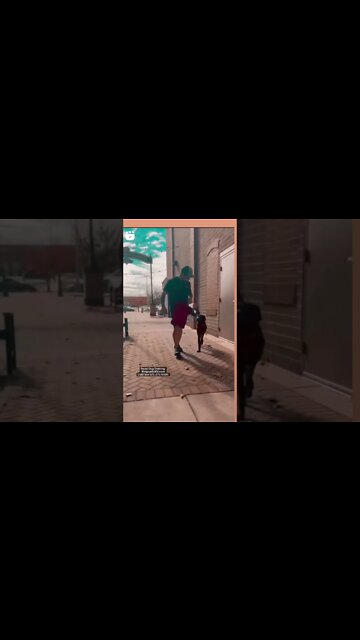 Dog Training Down Town