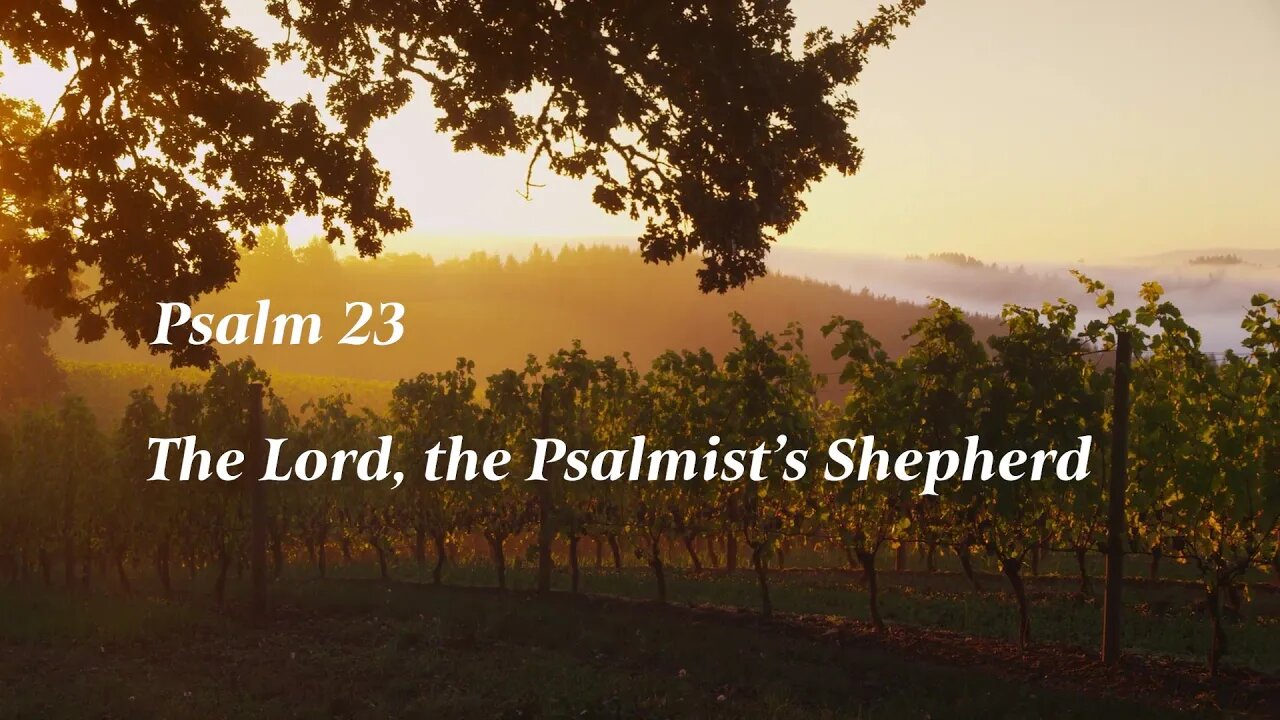 The Lord, the Psalmist's Shepherd /Psalm 23 主、詩篇作者の羊飼い 詩篇 23 篇/Il Signore, il pastore del salmista