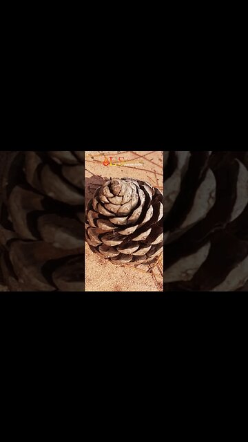 VEJA AS COISAS COM UM NOVO OLHAR