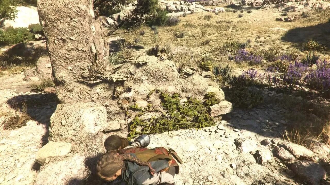 A Plague Tale: Requiem Part 1 Hide And Go Sight
