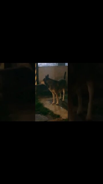 Viernes de cerrazón en #tacuarembó #uruguay (24/03/2023)