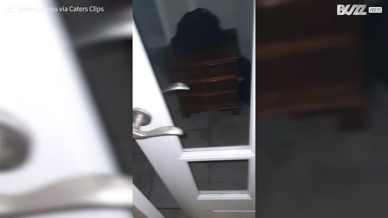 Cet homme joue au chat et à la souris chez lui