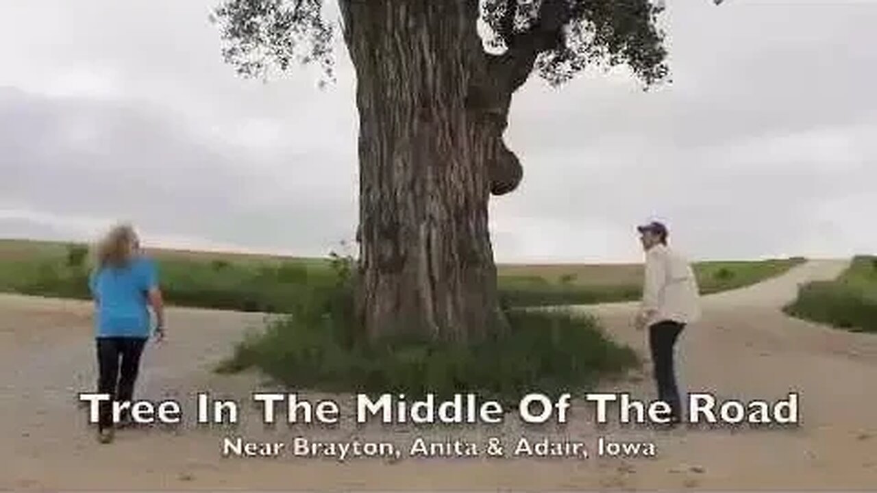 Tree In The Middle Of The Road, Anita, Ia Travel USA, Mr. Peacock & Friends, Hidden Treasures