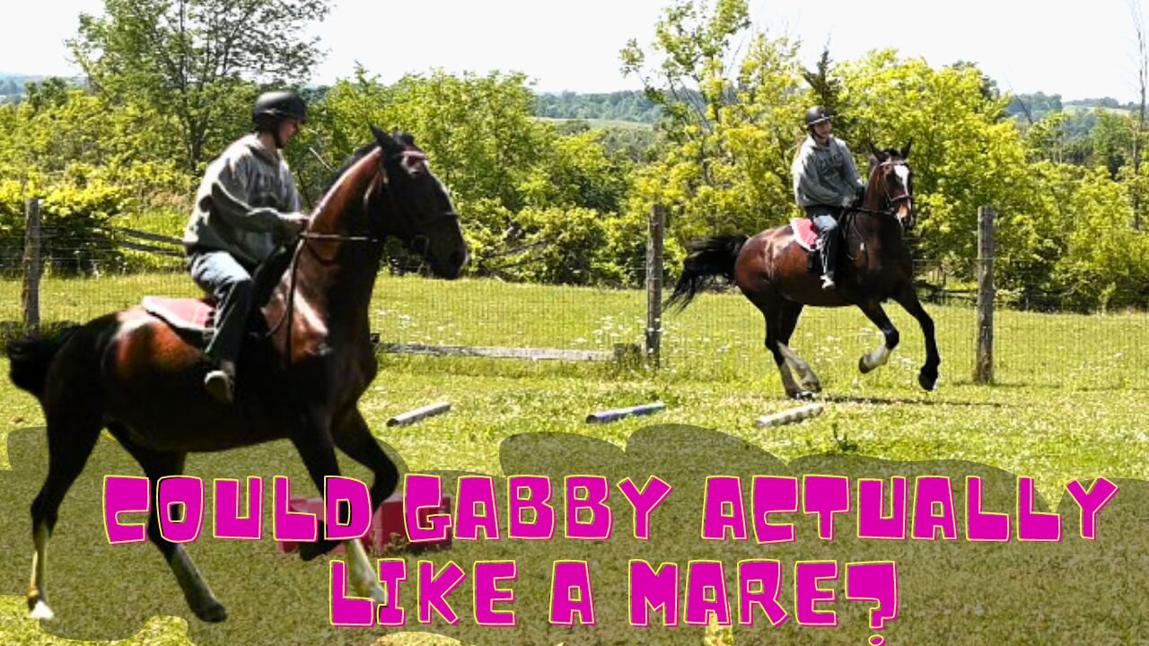 Could Gabby Actually Like A MARE