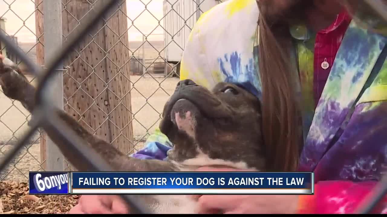 Register your dog preview