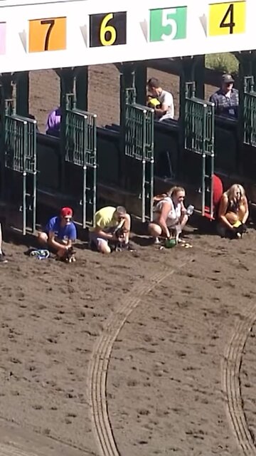 🏆 IT’S BEANER THE WEINER! 🐕 I’m quitting everything I do and dedicating my life to this sport.