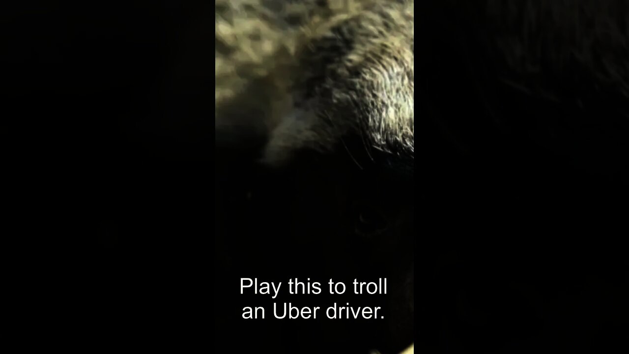 Play this to troll an Uber driver.