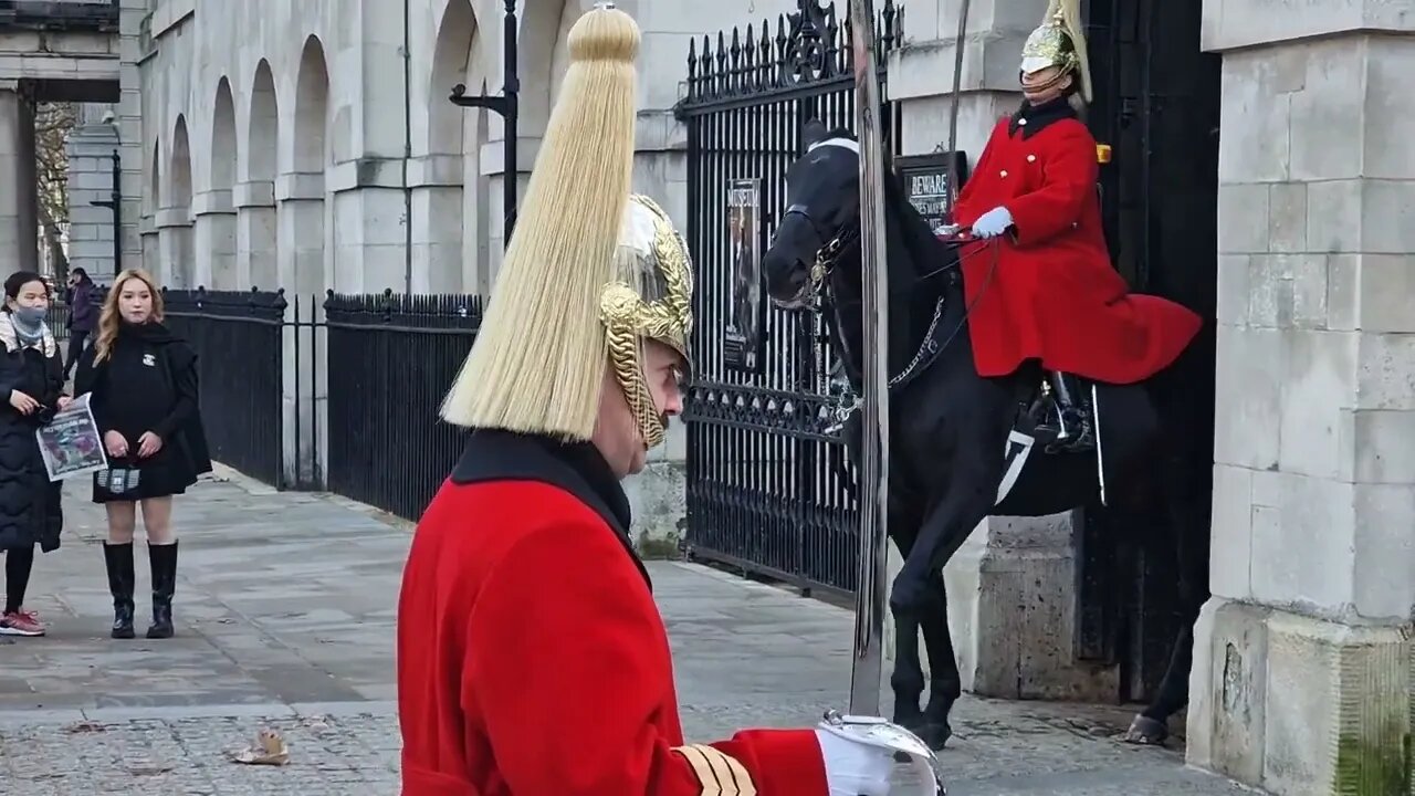 Guard shouts and scares tourist #horseguardsparade