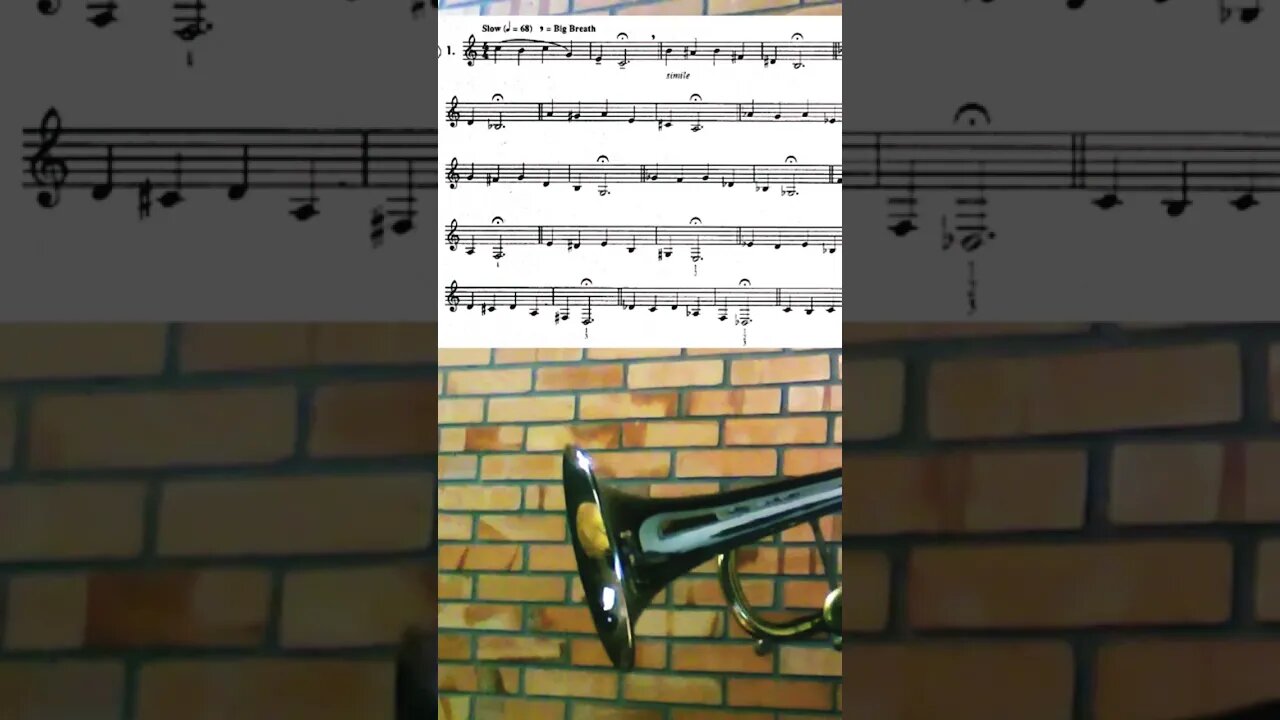 [TRUMPET WARM-UP] Arturo Sandoval Warm-Ups Exercise 1 (w/ Pedal Notes)