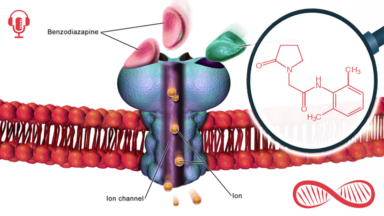 Nefiracetam: A Dissapointing Gabaergic Racetam