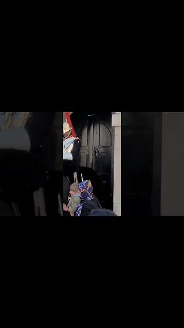 The guard had no effect on Karen #horseguardsparade