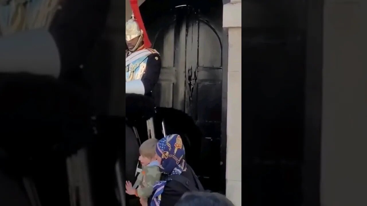 The guard had no effect on Karen #horseguardsparade