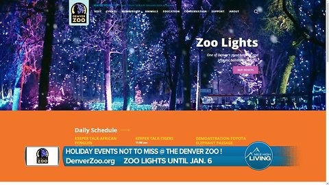 Denver Zoo Lights - Don't Miss this Awesome Holiday Event!