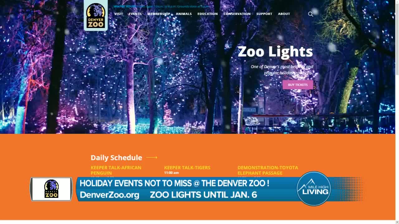 Denver Zoo Lights - Don't Miss this Awesome Holiday Event!