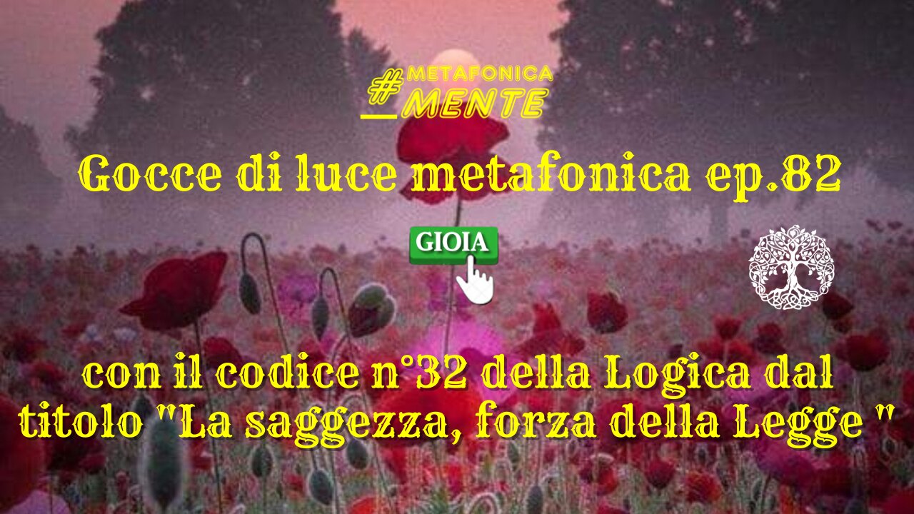 Gocce p.82| Codice 32:la saggezza, forza della Legge| Tutto cambierà con l'onestà