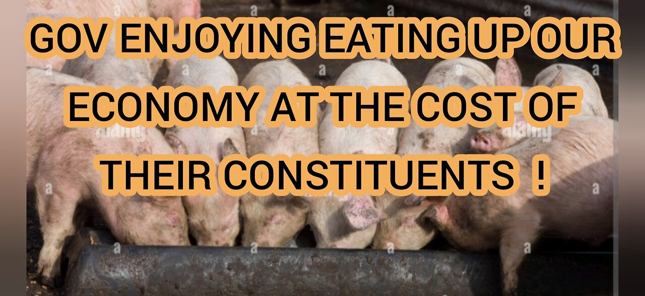 YOUR THIEVES IN GOV. ARE EATING AT THE CONSTITUENTS TROUGHS. BUT NOT THEIR OWN.