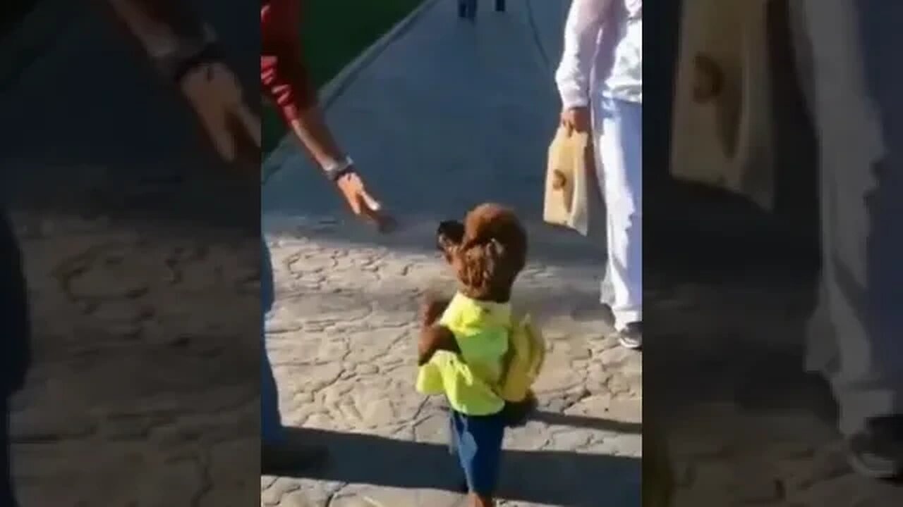 #chotu #viral #viralyt #viralshorts #viralvideo #viralvideos #cutevideostatus #funnyvideo #funnypets