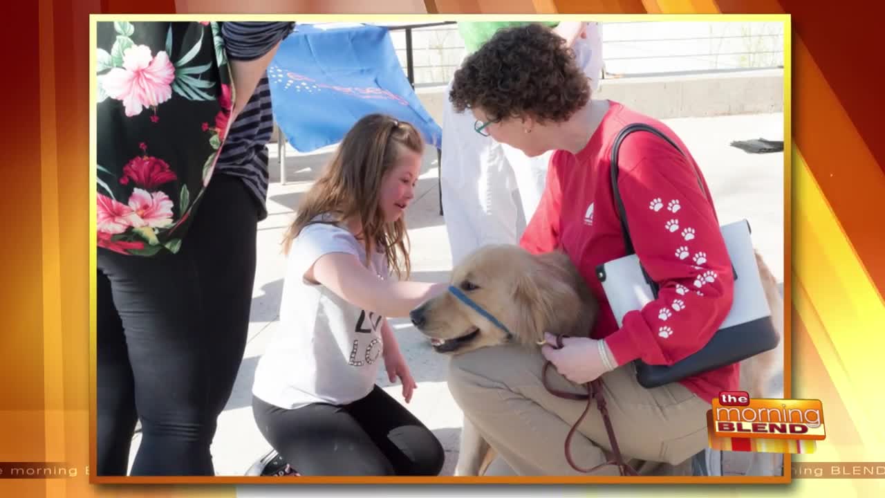 A Celebration and Walk Promoting Inclusion