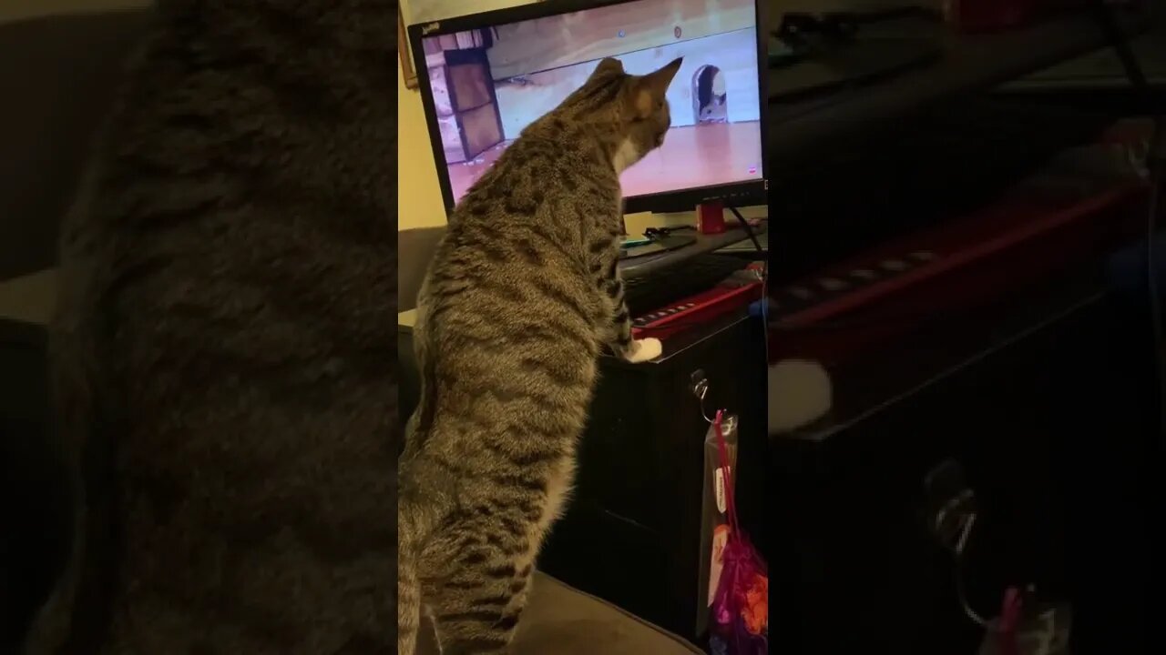 She loves this show!!