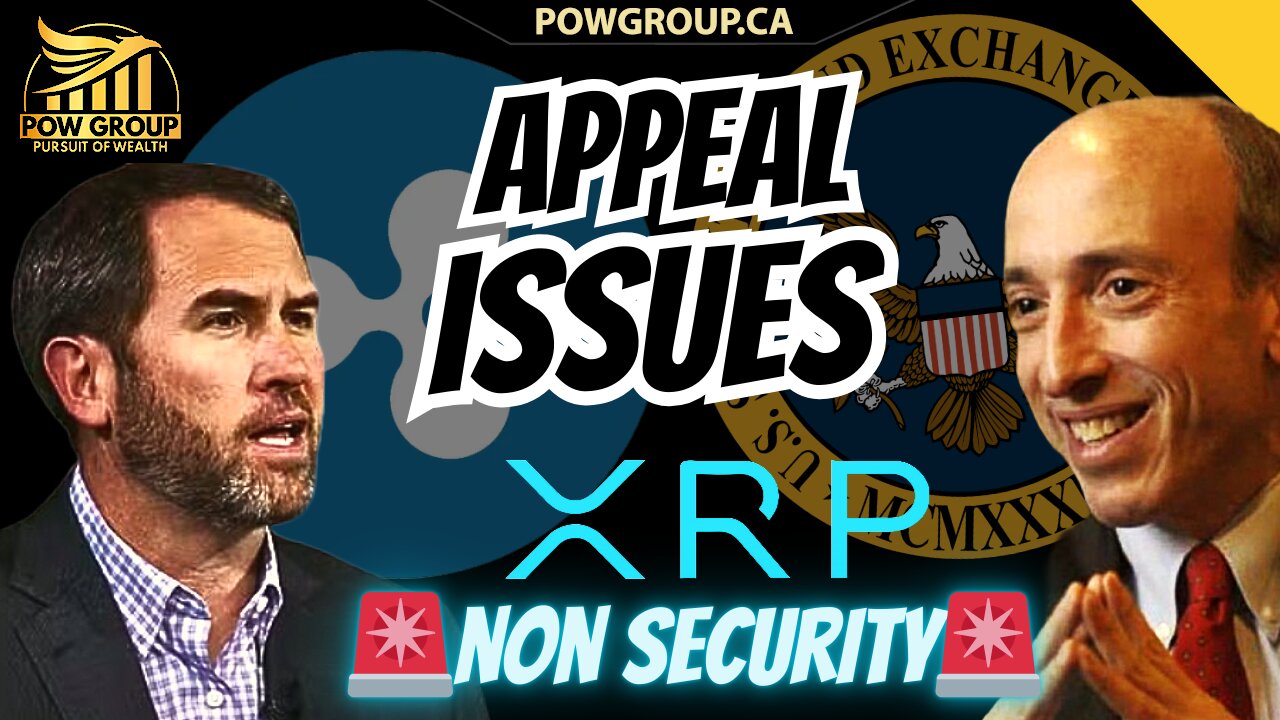 SEC vs RIPPLE: Appeal Issues Explained - XRP Security Status Not Included