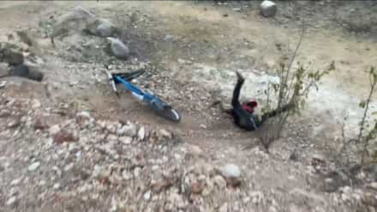 Salto de bicicleta acaba em árvore partida!