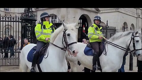 The horse is foaming at the mouth #horseguardsparade