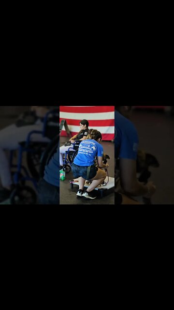 Doberman Puppy & Many Other Dogs Learning a New Way! #dog