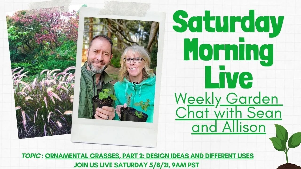 ☕ Saturday Morning LIVE Garden Chat - Designing with Ornamental Grasses ☕