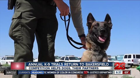 Bakersfield K-9 Trials returns July 20