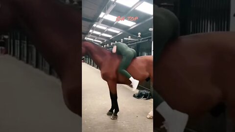 Beauty loves being on Top of her horse lol