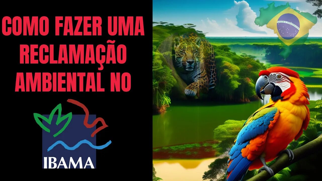 Como fazer DENÚNCIA AMBIENTAL no IBAMA? [ATUALIZADO - 2023]