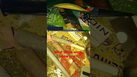 18+ content #stonerlife#xyz #abcd #newreels #foryourpage #stonerpage