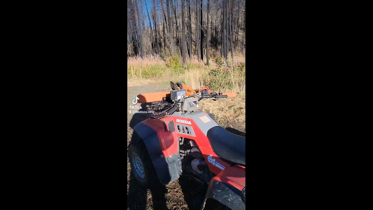 Firewood Therapy