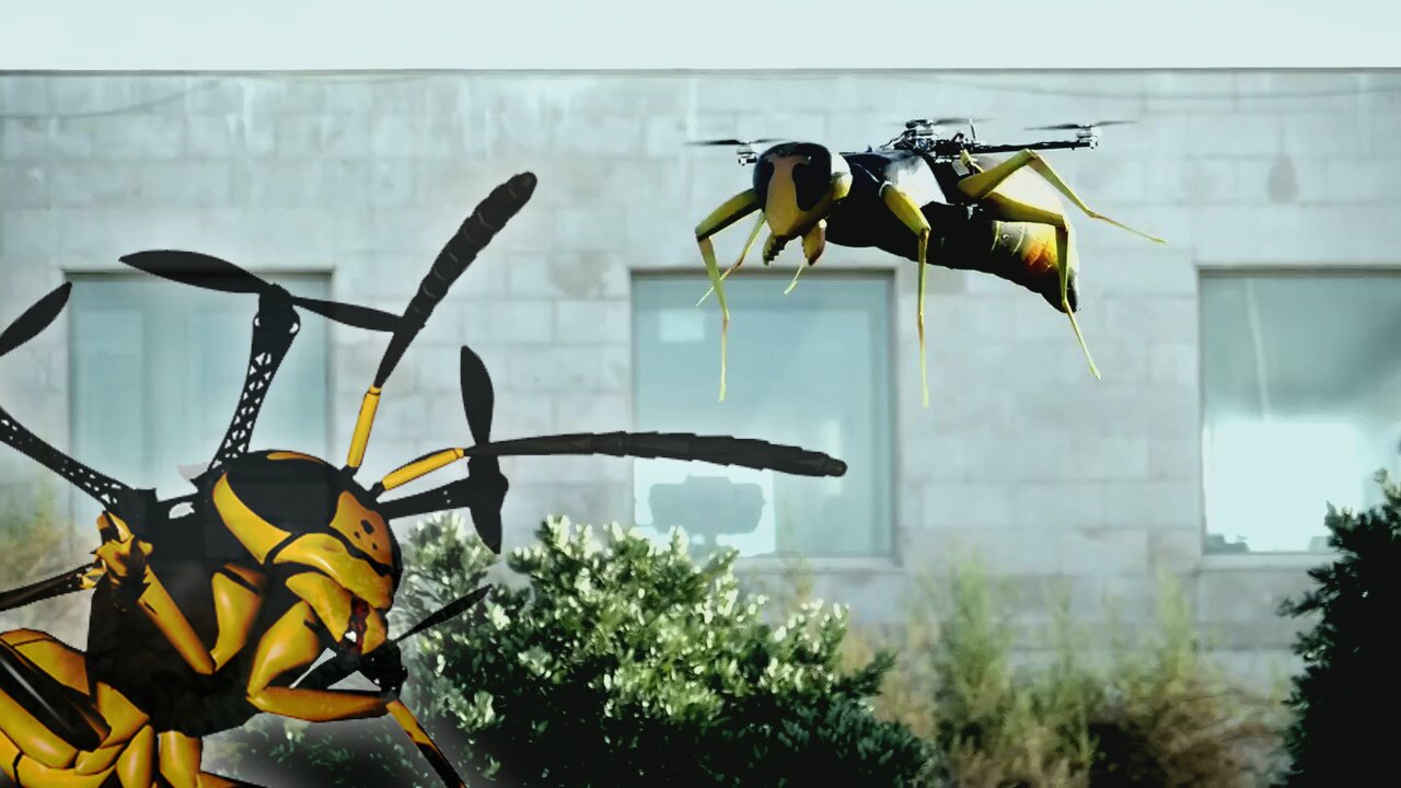 Wasp drone